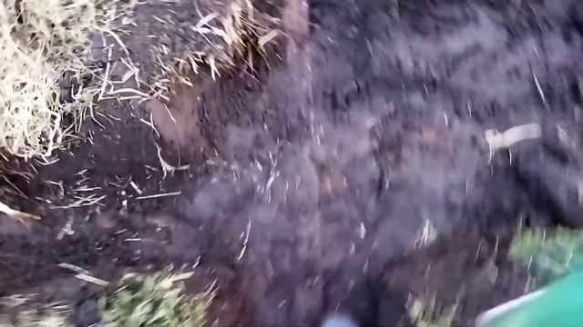 Я ОТКОПАЮ  ЭТО И СТАНУ БОГАТЫМ .НО ПОКА Я ЛОПУХ...