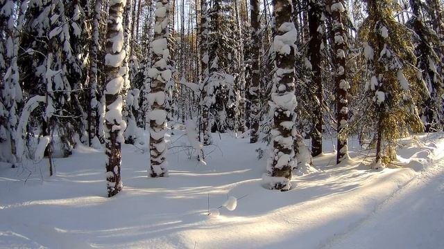 19 февраля