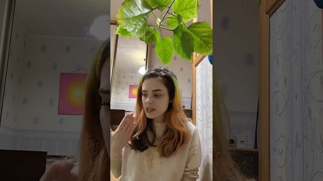 Випассана. 10 дней по Гоенке. Дважды (второй раз) Личный опыт.