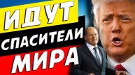 ШОЛЬЦ И ТРАМП ЗА МИР - ЭТО КАК ПОЖАРНИКИ ПОДЛИВАЮЩИЕ БЕНЗИН!