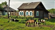 Деревенская история