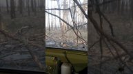 внедорожники езда на танке по лесу
