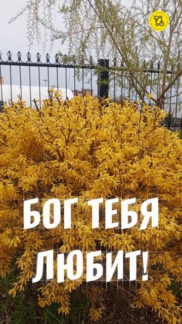 Бог тебя любит!
