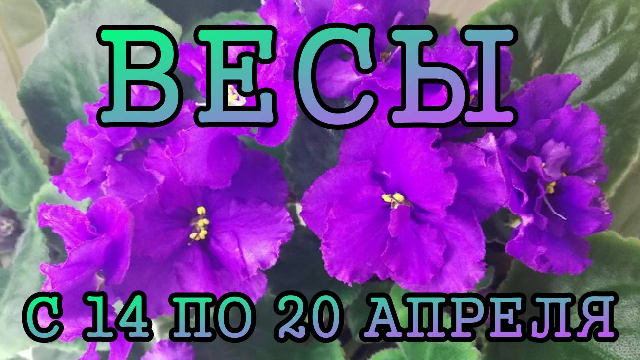 ВЕСЫ таро прогноз на неделю с 14 по 20 АПРЕЛЯ 2025 года.