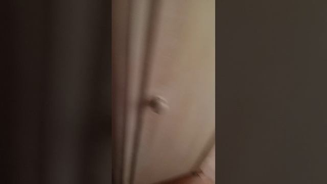 VID_20250410_151631.mp4