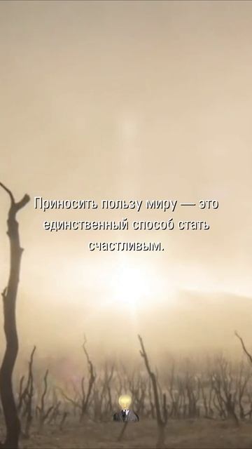 МУДРОСТЬ МЕНЯЮЩАЯ СУДЬБУ | Афоризмы и Цитаты