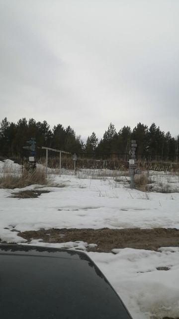 Куст