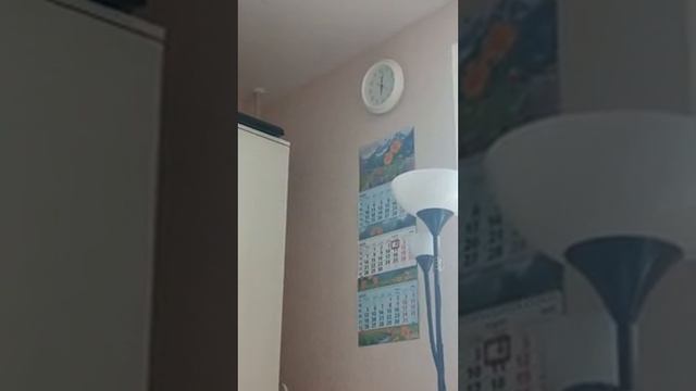 04.04.25/18:02 Сверлят