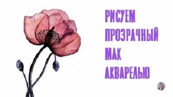 Рисуем прозрачный мак акварелью. Draw flower watercolor_ speed paint_#pyka_v_сахаре