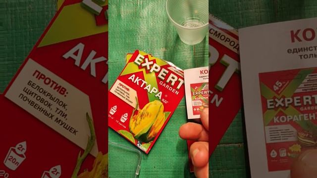 7 апреля обработала цветы и рассаду на стеллажах Актарой от компании Защита растений Expert Garden