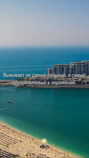 МУДРОСТЬ МЕНЯЮЩАЯ СУДЬБУ | Афоризмы и Цитаты