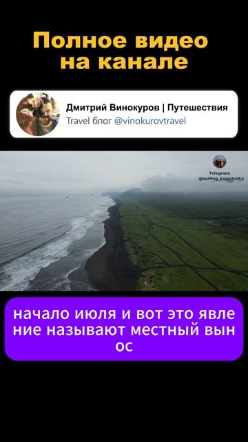 Сёрфинг на Камчатке