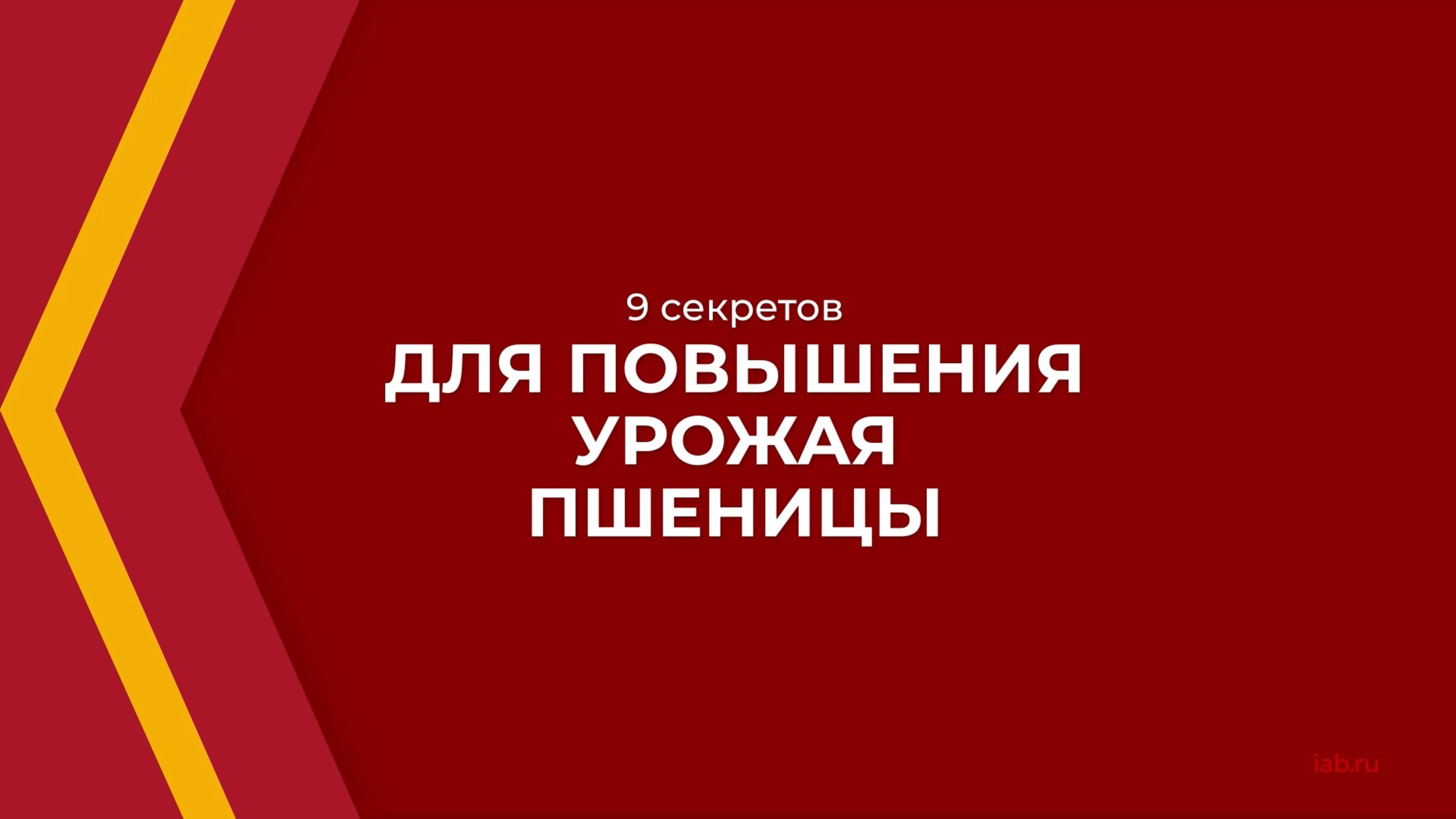 Онлайн курс обучения «Растениеводство» - 9 секретов для повышения урожая пшеницы