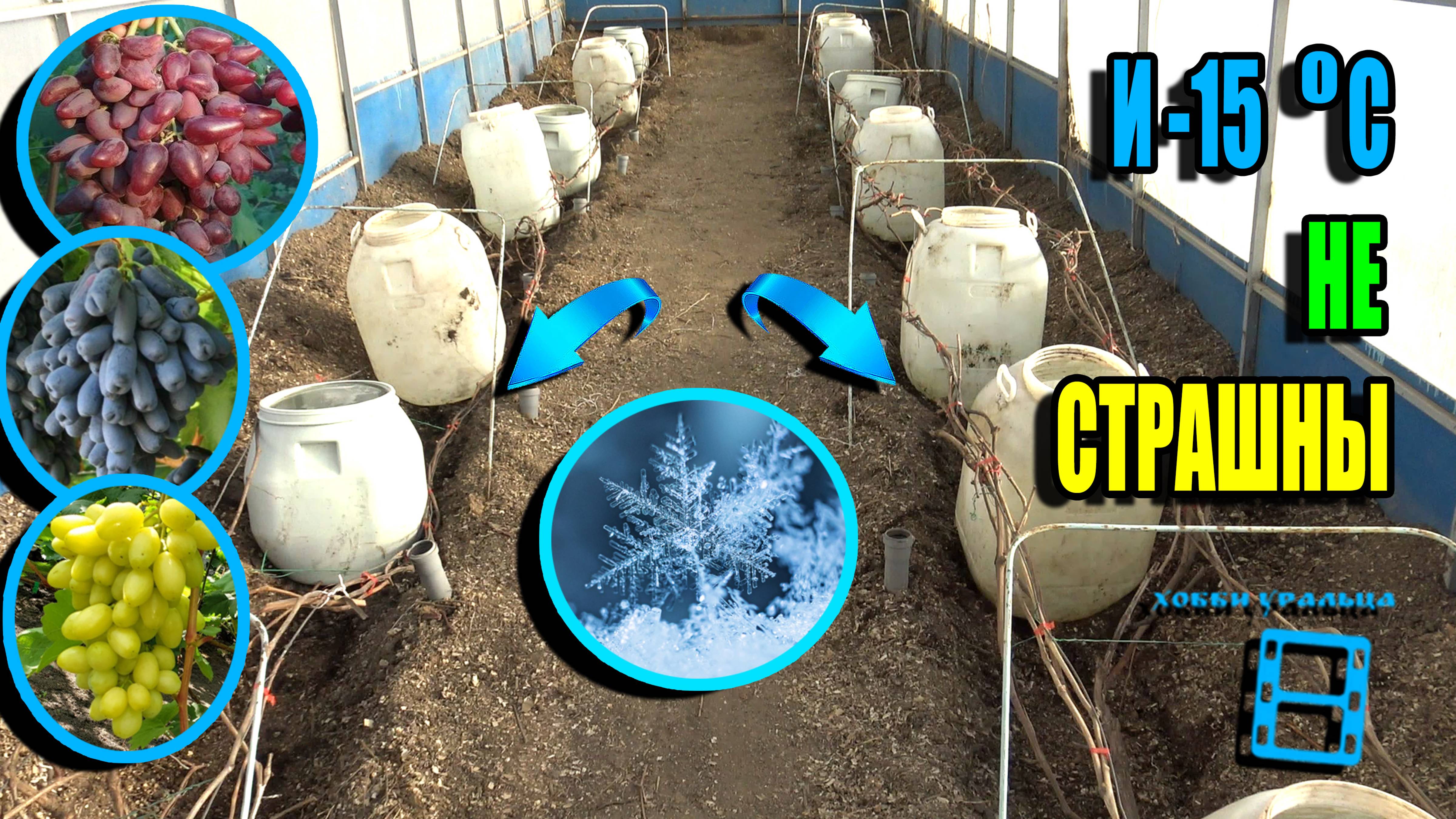 АВТОНОМНАЯ ПРОТИВОМОРОЗНАЯ СИСТЕМА НА ВИНОГРАДНИКЕ С ЗАЩИТОЙ ДО -15 ℃. СЕВЕРНЫЙ ВИНОГРАДНИК 25-14