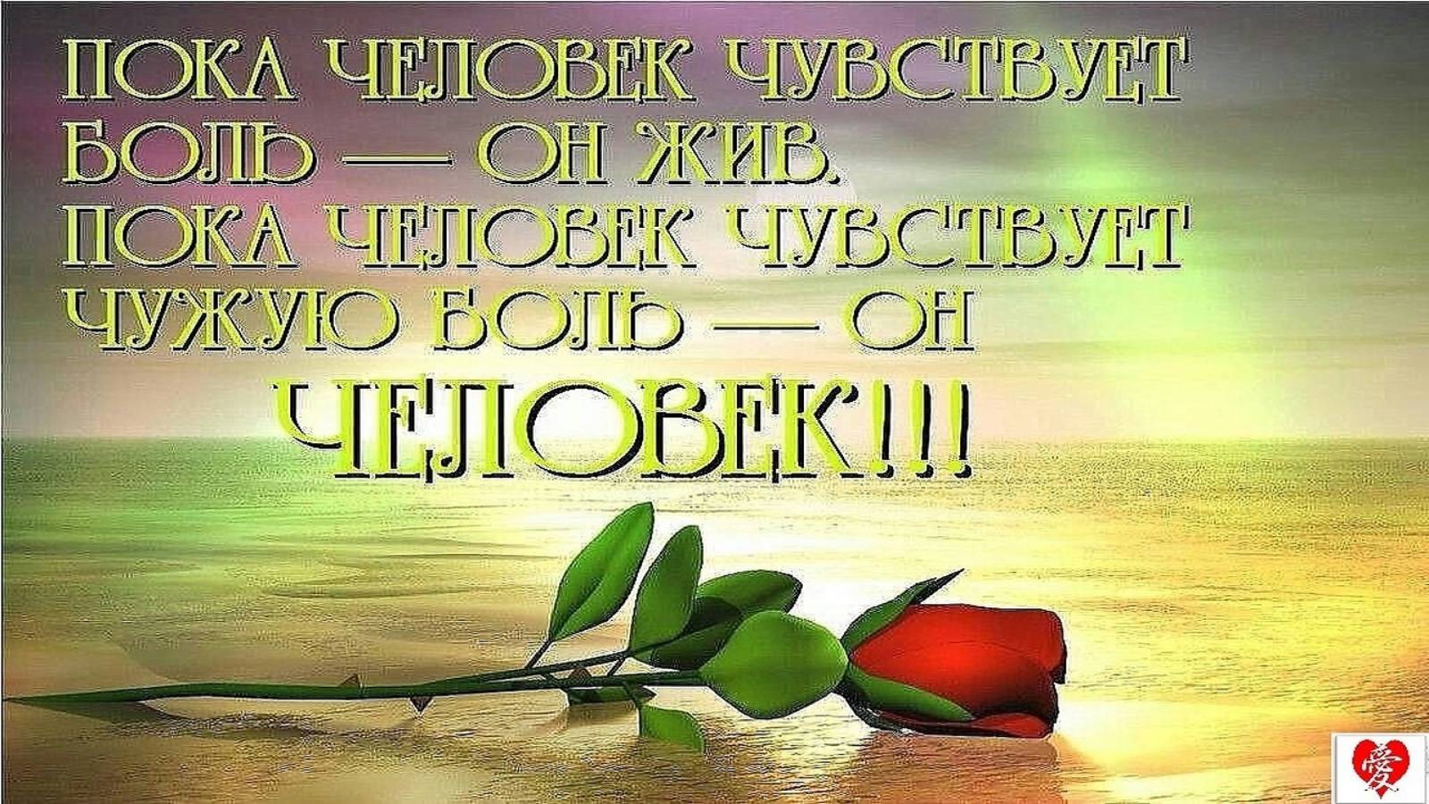 Ярмоленко Анатоль - Переживём ( cover Савелий Долгобродский )