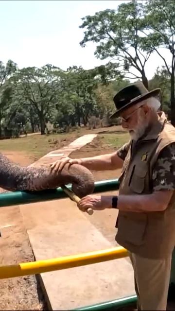 PM Modi's visit to Mudumalai & Bandipur | Witness the Elephants | Wildlife of India | Photography