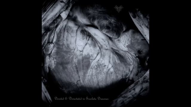 Zulmet : Devoted & Devastated in Scarlatta Draumar (Full Album)