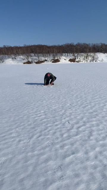 Кунджа на последнем льду: Весенний бунт на озере Вилюй! ❄🎣