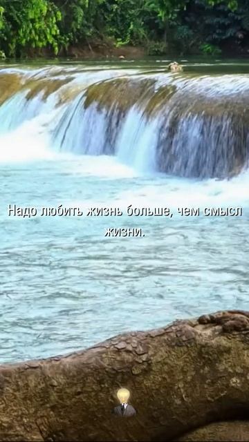 МУДРОСТЬ МЕНЯЮЩАЯ СУДЬБУ | Афоризмы и Цитаты