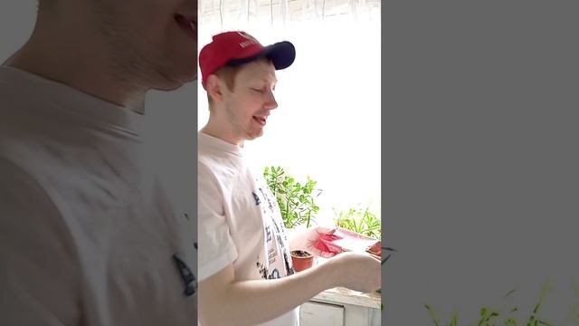 Купил продуктов на пару дней. Был в некоторых магазинах. Как вам цены?