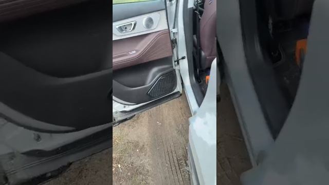 DL AUDIO GRYPHON Pro 165 Midbass в CHERY TIGGO 7 Pro Max FL ( Часть 2)