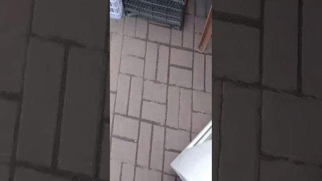 гуляем