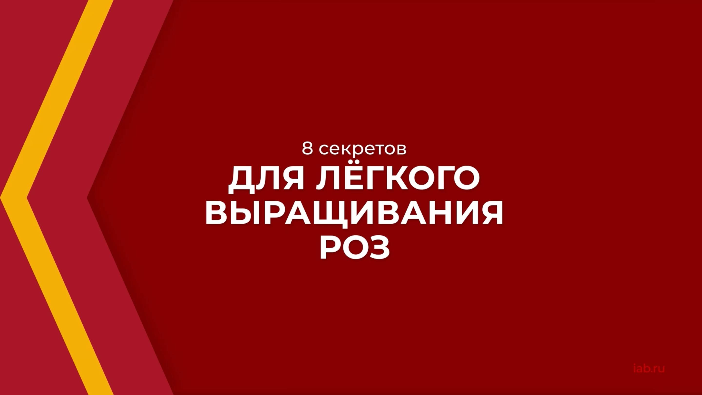 Онлайн курс обучения «Цветоводство» - 8 секретов для лёгкого выращивания роз