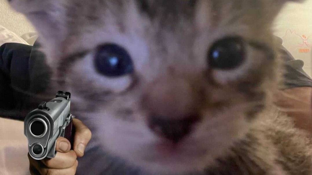 Юмор.