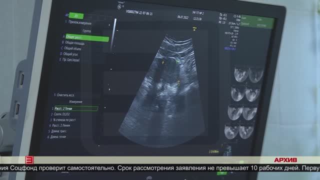 Выплаты беременным 09.04.2025