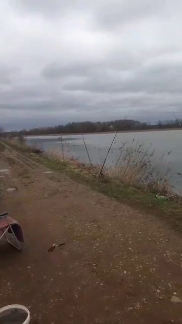 1000006673.mp4