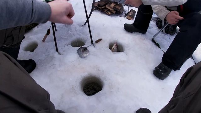 ПОЙМАЛИ ХАРИУСА И 20 КГ СЕРОЙ РЫБЫ ЗА НЕСКОЛЬ ЧАСОВ