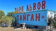 Парк львов "Тайган" – Крымское сафари !