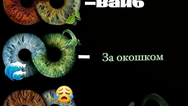lv_0_20250410205514.mp4