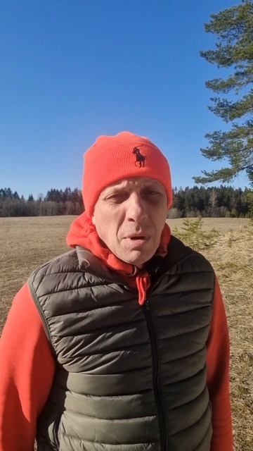 51.SHORTS. Точка опоры 24 . Эффект ПЧ - в действии, на практике . Пример .