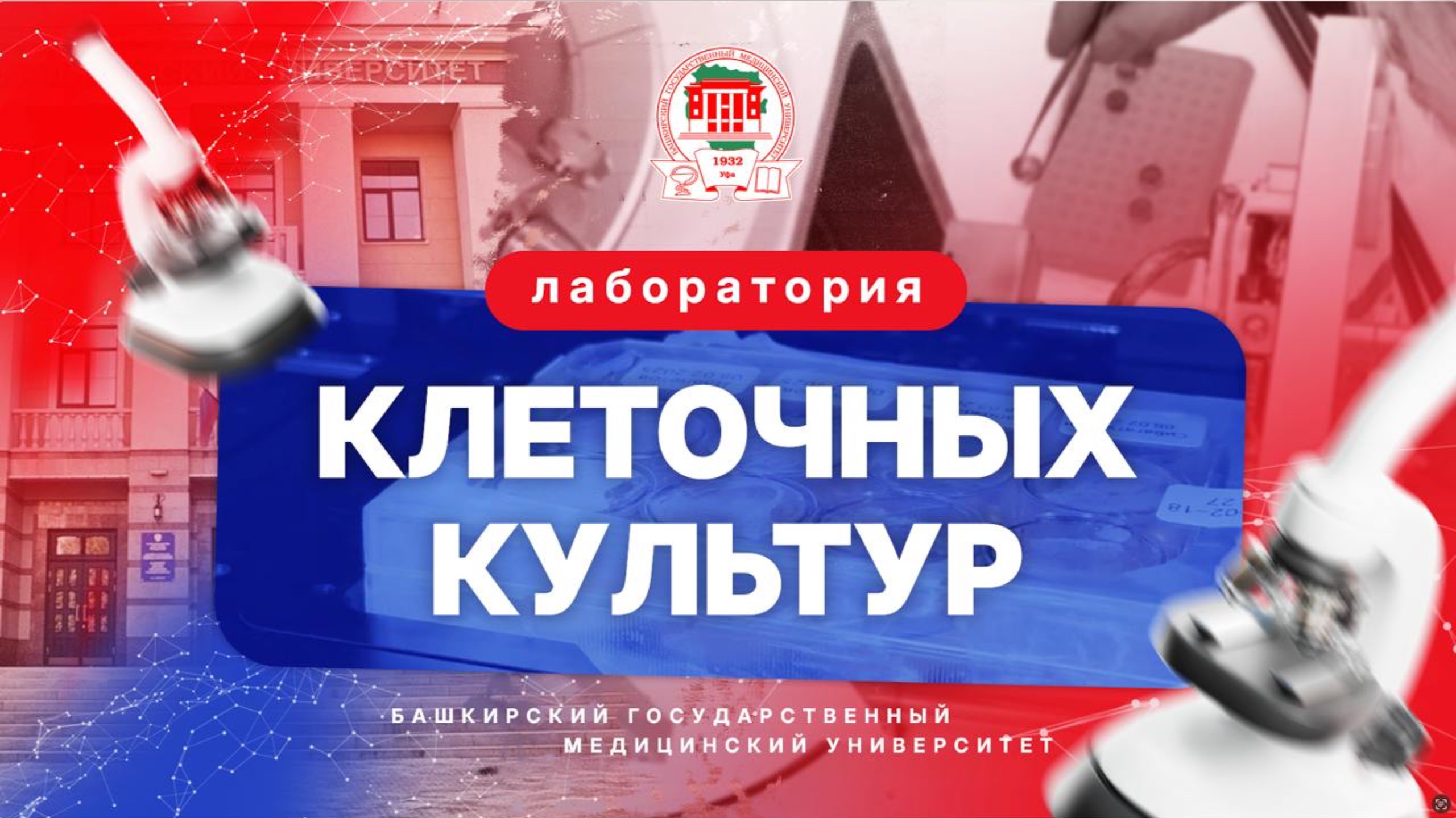 Лаборатория клеточных культур