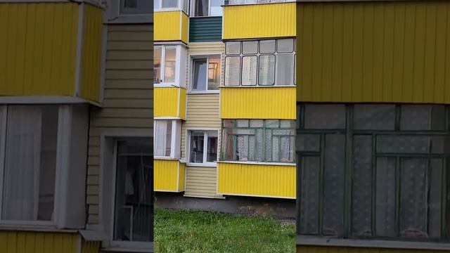 4765388571310265919