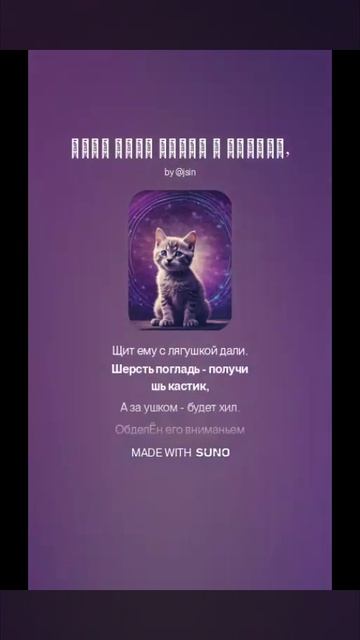 Аколит-котёнок