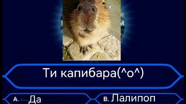 ты любишь капибар. какая ты капибара. 20347526