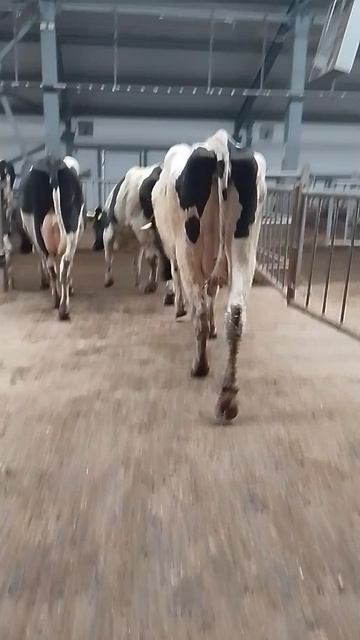 на работе