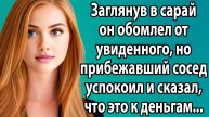«Дом без любви, но с чудом в сарае» Слушать рассказы о жизни и любви. Реальные истории из жизни