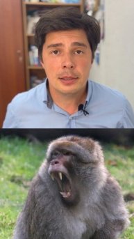 Обезьянка и Король.
