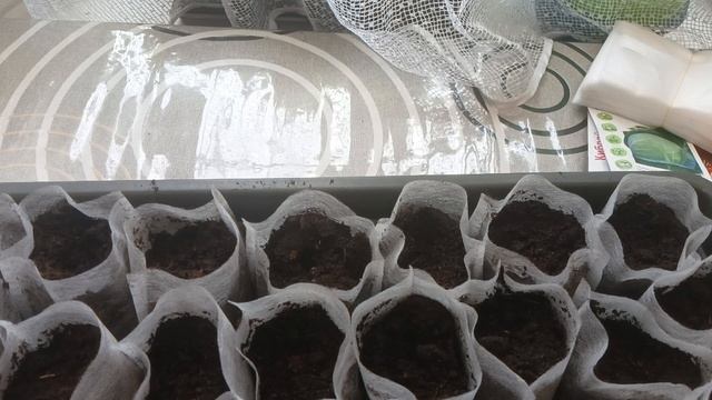 Домашний влог.Готовлюсь к огородному сезону.