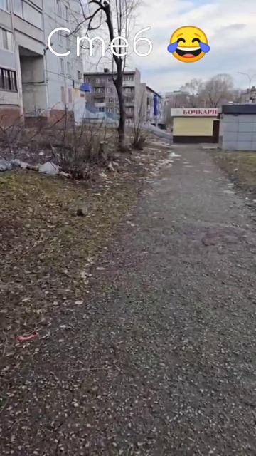 Стёб