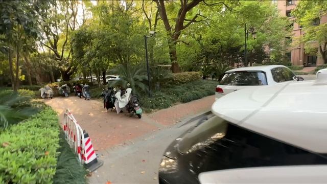 ОЧЕНЬ КРАСИВАЯ ВЕСНА В КИТАЕ НАСЛАЖДЕНИЕ ПРИРОДОЙ ПУТЕШЕСТВИЯ И ВЗГЛЯД ИЗНУТРИ #китай #путешествия