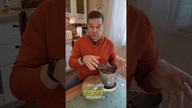 Каково орхидее в аквагрунте? 🙈 Опытным путём проверил "добрый" совет "эксперта"...