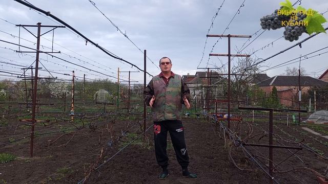 посадить и не навредить 🍇