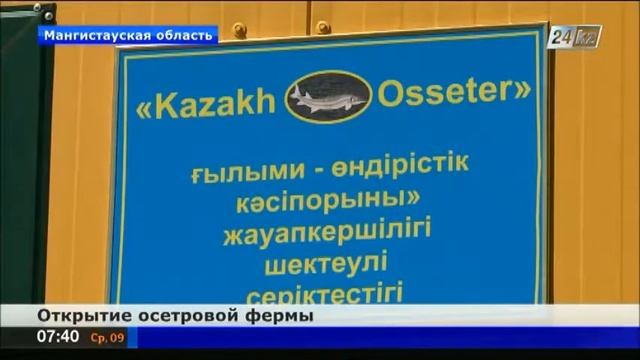 В Западном Казахстане открыли осетровую ферму