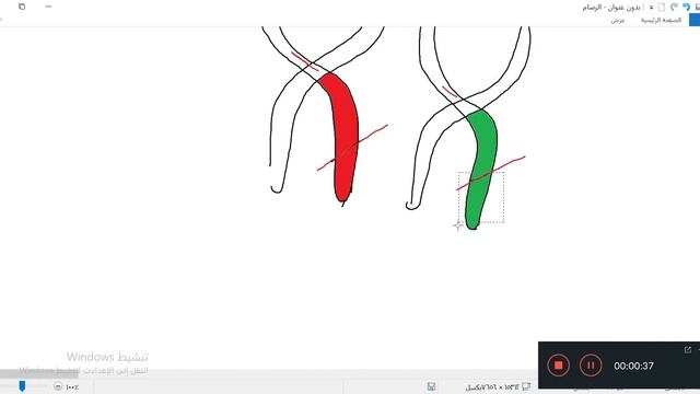 Cytogenetics_Histology