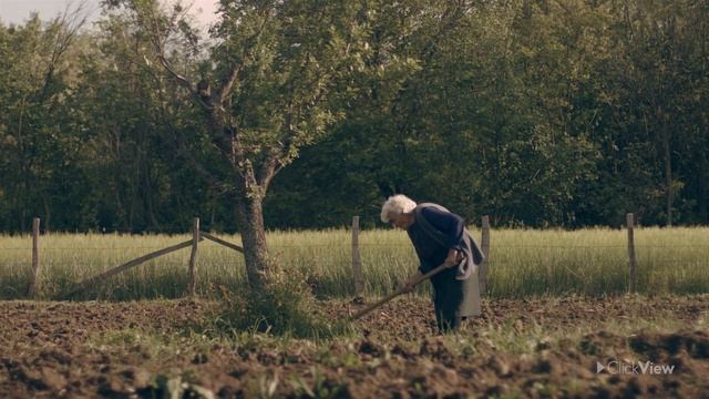 Causes Of The Industrial Revolution: The Agricultural Revolution