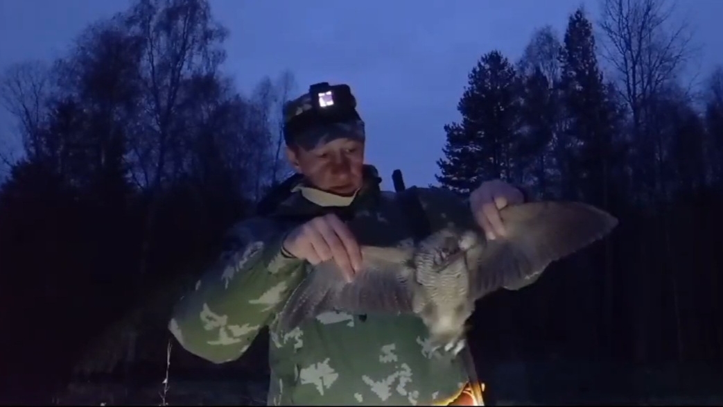 ЗАКРЫТИЕ ВЕСЕННЕЙ ОХОТЫ! НА ТЯГЕ ВАЛЬДШНЕПА!